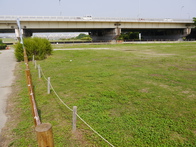 淀川河川敷　西中島地区の画像